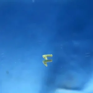 Garantierte Lieferung Hobbytrain BR 183 / Rh 1216 - H2710-OBB-IG - Isolator grün