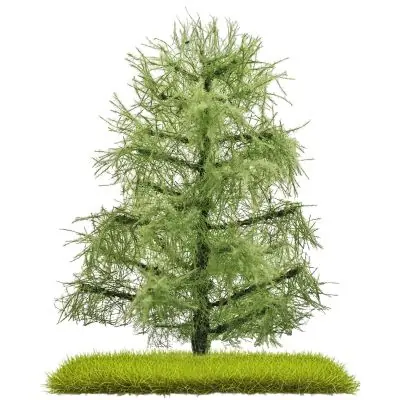 Busch 3811 2 Lärchen Sommer 80 mm Sonderangebot