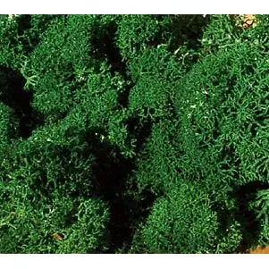 Heki 3231 Islandmoos dunkelgrün, 250 g Must-Have