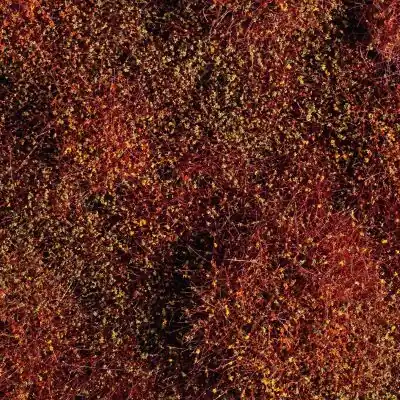 Auhagen 70904 Büsche/Sträucher Winter 4-30 mm Sonderaktion