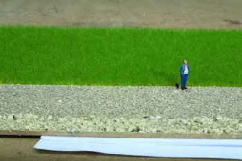 Wochenendangebot Noch 07073 - Grasmischung Kuhweide 50 g 2,5 bis 6 mm lang