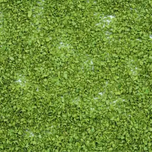 Versand Am Gleichen Tag Noch 07152 - Laub hellgrün 100 g