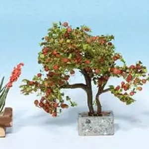 Abverkauf Noch 14020 - Zierpflanzen in Blumentöpfen