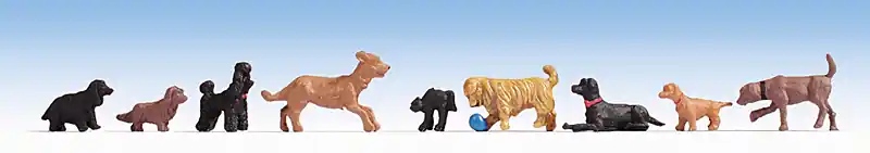 Zertifiziert Noch 15719 - Hunde 9 verschiedene Tiere