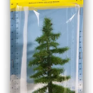 Abverkauf Noch 21810 - Nordmanntanne 12 cm