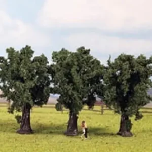 Abverkauf Noch 25150 - Bergahorne 3 Stück 9 cm hoch