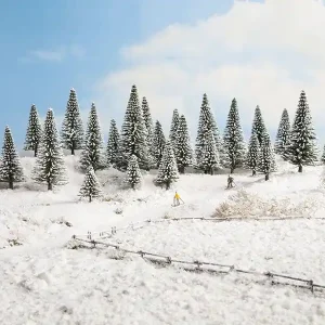 Versand Am Gleichen Tag Noch 32828 - Schneetannen, 25 Stück, 3,5 - 9 cm